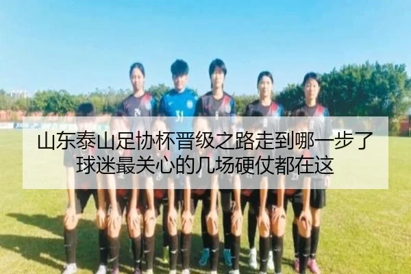 山东泰山足协杯晋级之路走到哪一步了 球迷最关心的几场硬仗都在这